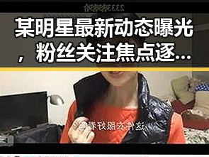 某明星最新动态曝光，粉丝关注焦点逐渐转向现状